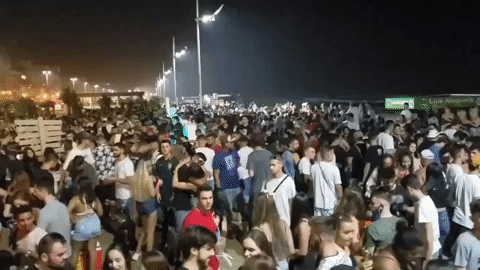 Reprodução/Twitter @EduPaganella - 14.fev.2021