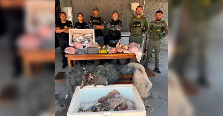 Polícia Civil de Mato Grosso