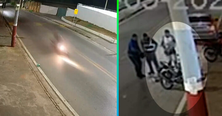 Reprodução